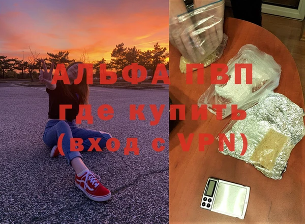 стафф Алексин