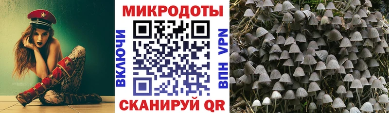 Галлюциногенные грибы GOLDEN TEACHER  наркошоп  Майкоп 